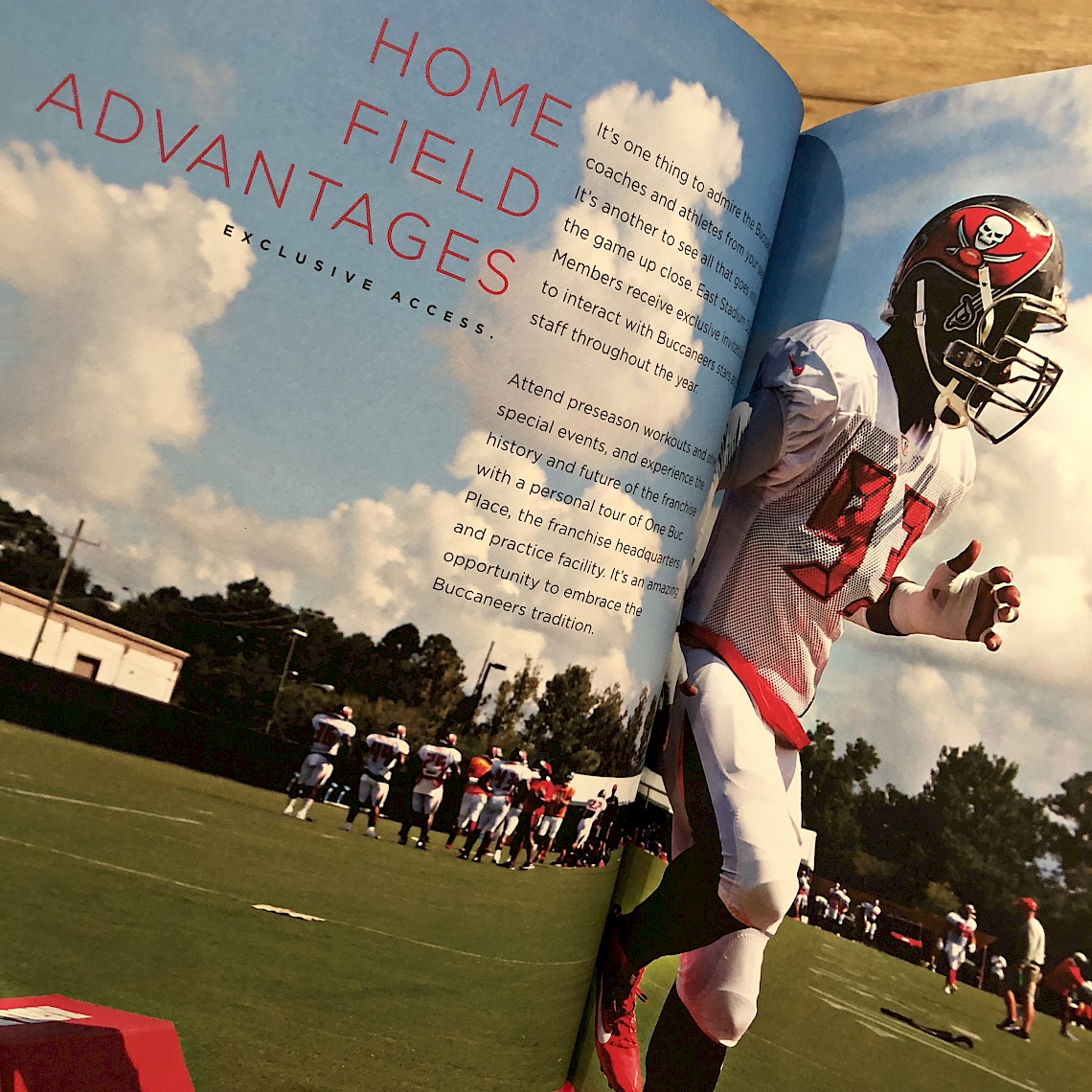 bucs3.jpg
